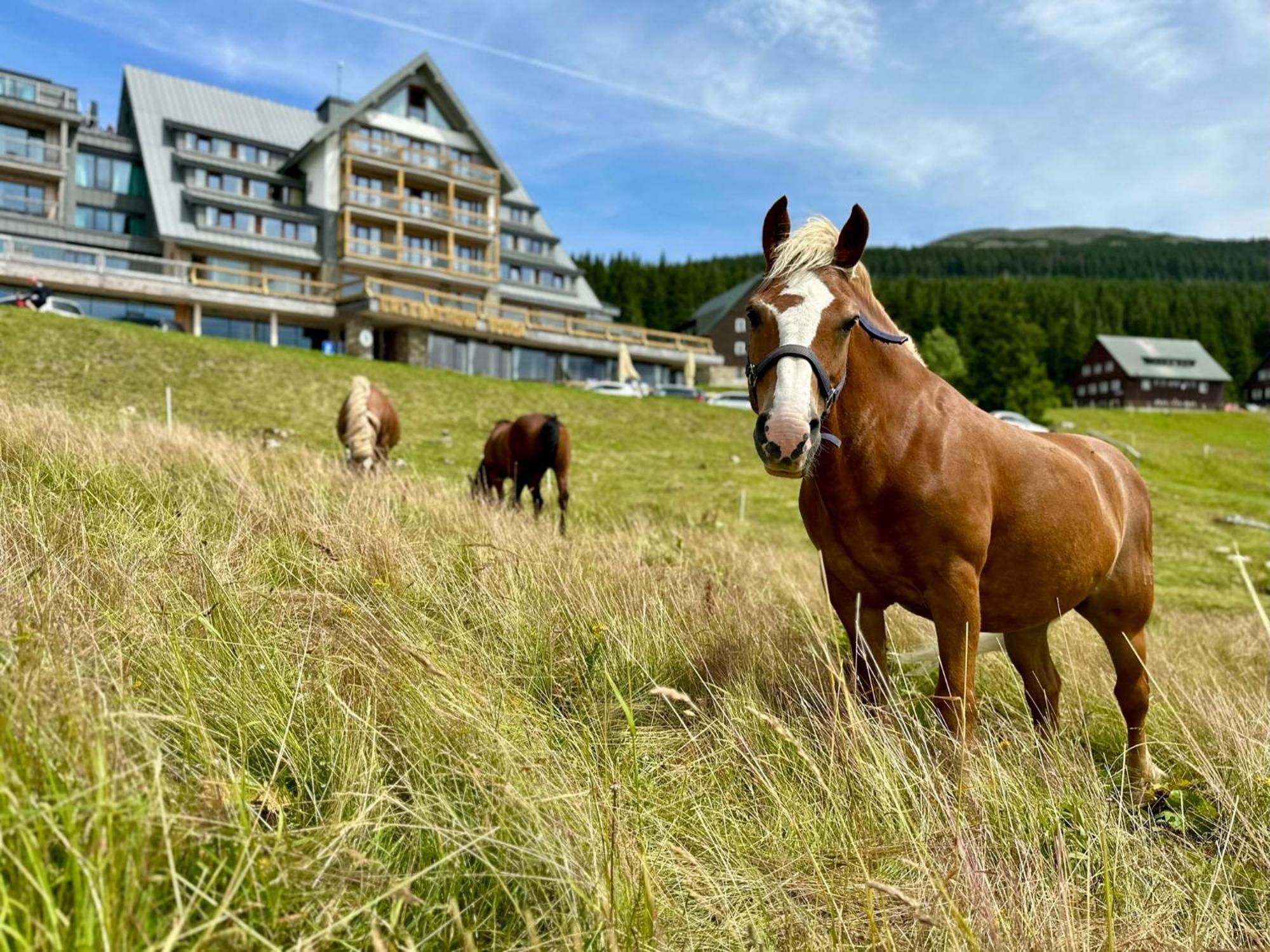 Erlebachova Bouda, Hotel - Resort Svaty Frantisek Špindlerŭv Mlýn Exterior foto